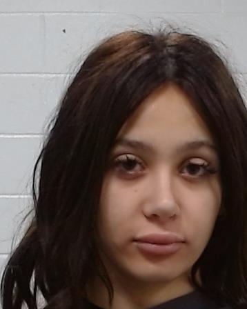 Abu-Arqoub, Lana Ahmed arrest record in Collin County, Texas Abu-Arqoub, Lana Ahmed arrested in Collin County, Texas mugshot