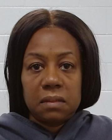 Prince, Michelle Ann arrest record in Collin County, Texas Prince, Michelle Ann arrested in Collin County, Texas mugshot