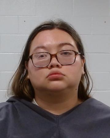 Medina Giron, Gabriela Nohemi arrest record in Collin County, Texas Medina Giron, Gabriela Nohemi arrested in Collin County, Texas mugshot