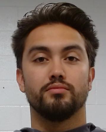 Elmborg, Lukas Bjorn arrest record in Collin County, Texas Elmborg, Lukas Bjorn arrested in Collin County, Texas mugshot