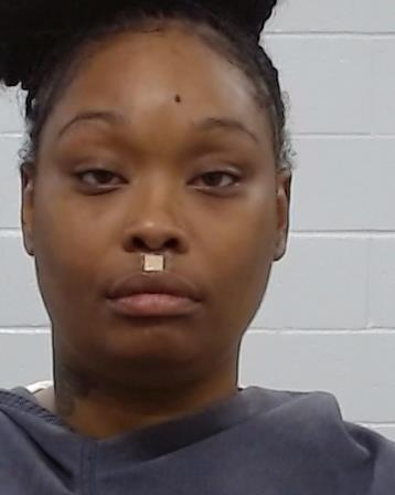 Davis, Brittany Raquel arrest record in Collin County, Texas Davis, Brittany Raquel arrested in Collin County, Texas mugshot