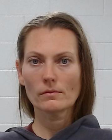 Hastings, Emily Rachel arrest record in Collin County, Texas Hastings, Emily Rachel arrested in Collin County, Texas mugshot