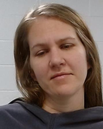 Brunner, Erica Leigh arrest record in Collin County, Texas Brunner, Erica Leigh arrested in Collin County, Texas mugshot