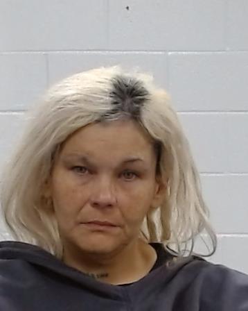 Gonzalez, Jennefer Marie arrest record in Collin County, Texas Gonzalez, Jennefer Marie arrested in Collin County, Texas mugshot