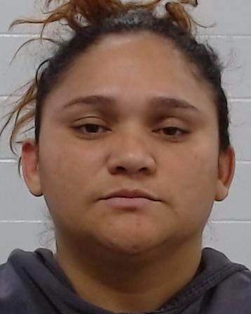Finol Gonzalez, Ana arrest record in Collin County, Texas Finol Gonzalez, Ana arrested in Collin County, Texas mugshot