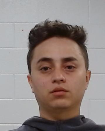 REYES AYALA, EDWIN GIOVANNI arrest record in Collin County, Texas REYES AYALA, EDWIN GIOVANNI arrested in Collin County, Texas mugshot