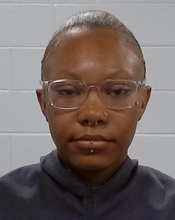 Turner, Markayla Laeice arrest record in Collin County, Texas Turner, Markayla Laeice arrested in Collin County, Texas mugshot
