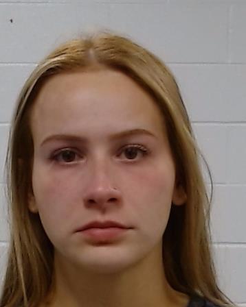 Horwitz, Meredith arrest record in Collin County, Texas Horwitz, Meredith arrested in Collin County, Texas mugshot