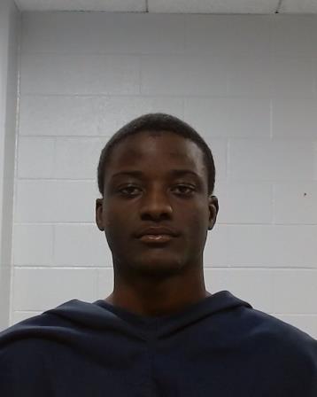 Kaludzu, Sydney Kudzai arrest record in Collin County, Texas Kaludzu, Sydney Kudzai arrested in Collin County, Texas mugshot