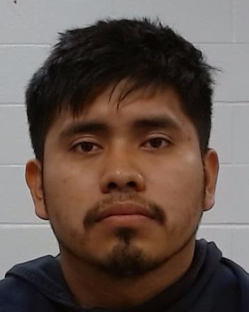 Chontal Ambros, Flavio arrest record in Collin County, Texas Chontal Ambros, Flavio arrested in Collin County, Texas mugshot