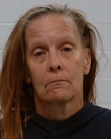Eddy, Lori arrest record in Collin County, Texas Eddy, Lori arrested in Collin County, Texas mugshot