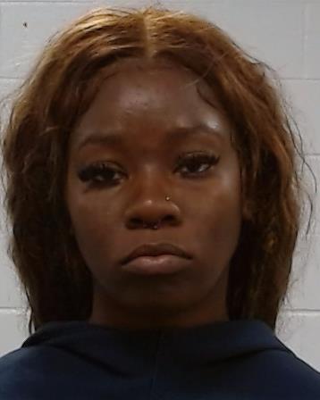 Landford, Paulina Isabella arrest record in Collin County, Texas Landford, Paulina Isabella arrested in Collin County, Texas mugshot