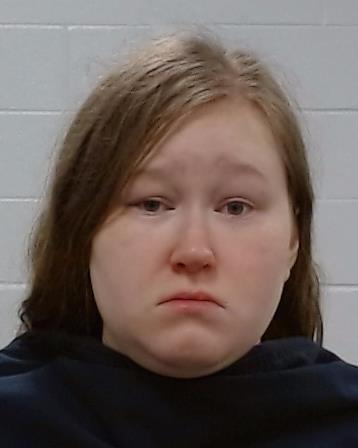 Smith, Dana Lynn arrest record in Collin County, Texas Smith, Dana Lynn arrested in Collin County, Texas mugshot