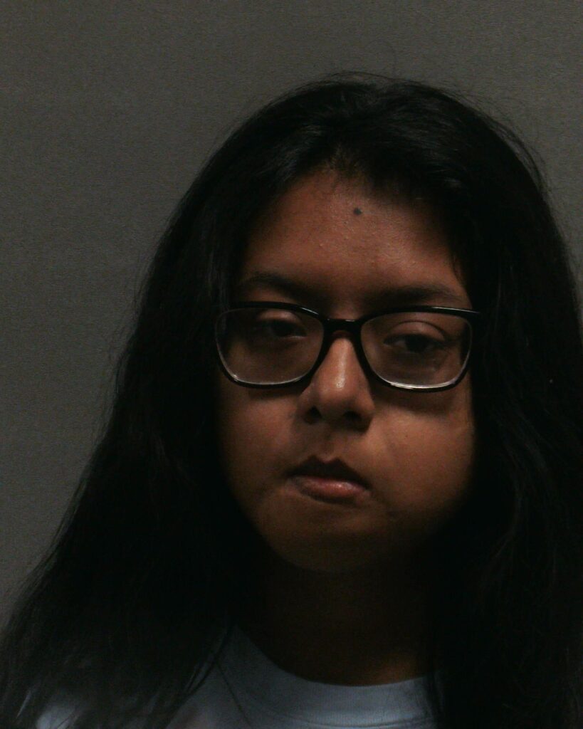 CASTANEDA, LESLY arrested in Randall County, Texas mugshot