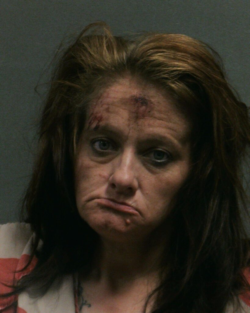 KLINKE, ANGELA RENEE arrest record in Randall County, Texas KLINKE, ANGELA RENEE arrested in Randall County, Texas mugshot