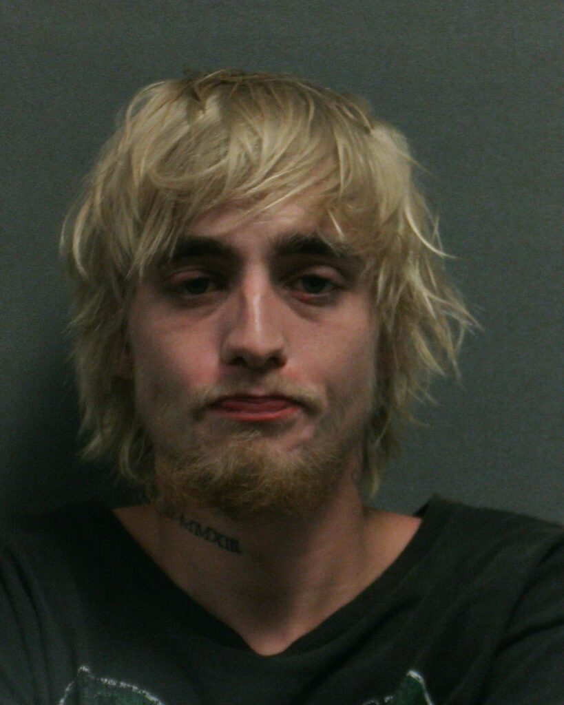 NELSON, GEORGE WILLIAM arrested in Randall County, Texas mugshot