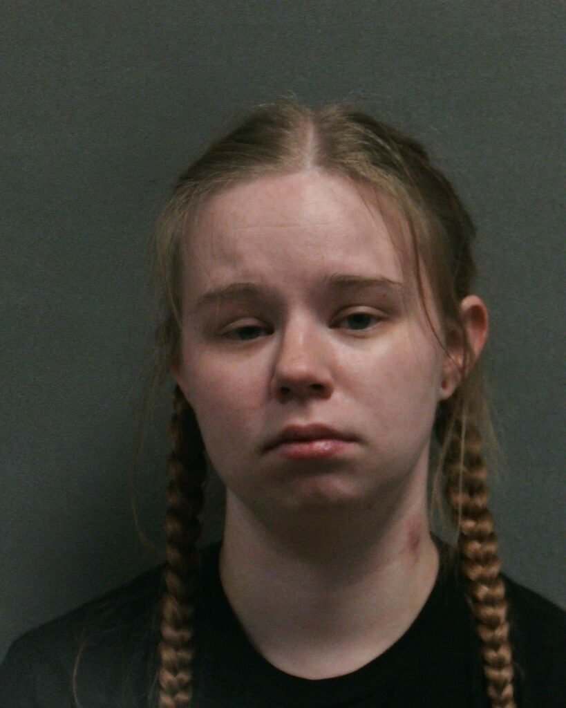 WALKER, ANNALEE LOIS arrested in Randall County, Texas mugshot
