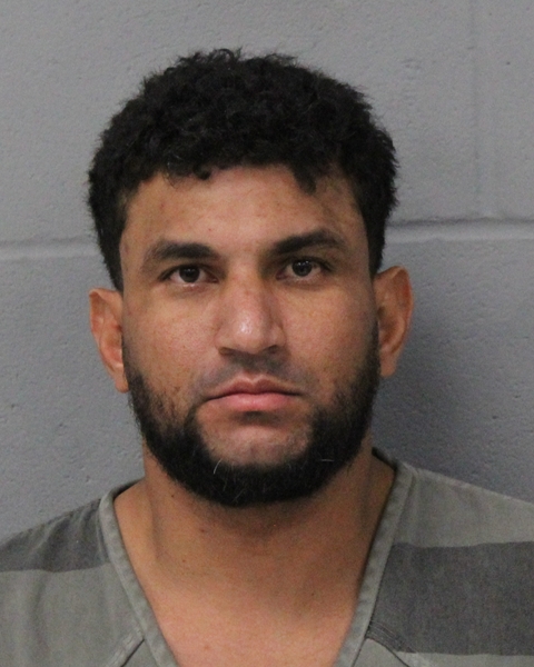 ORNES ARIAS-FLORES arrested by APD