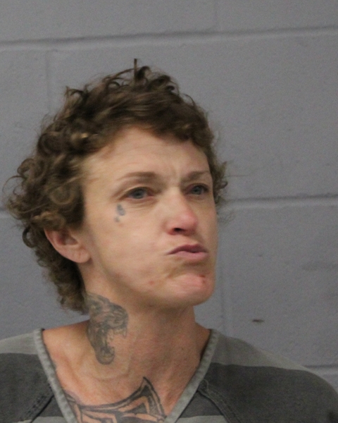 SAVANNAH ANNAS arrested by APD
