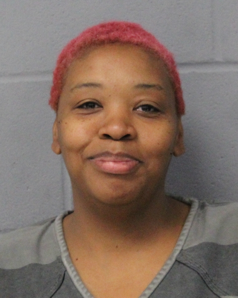 ANDREA BROWN arrested by APD