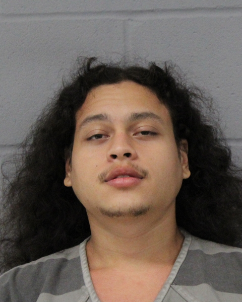 CAMERON LOVE arrested by APD