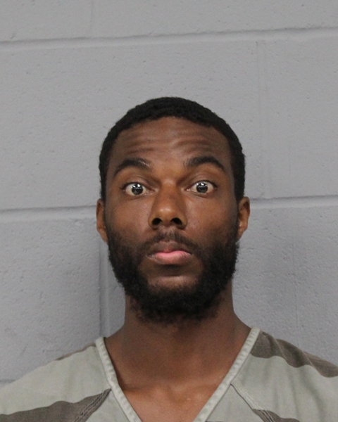 BRANDON WILLIAMS arrest record BRANDON WILLIAMS mugshot