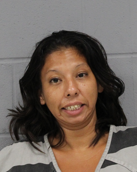 ANGELICA PINEDA arrested by APD