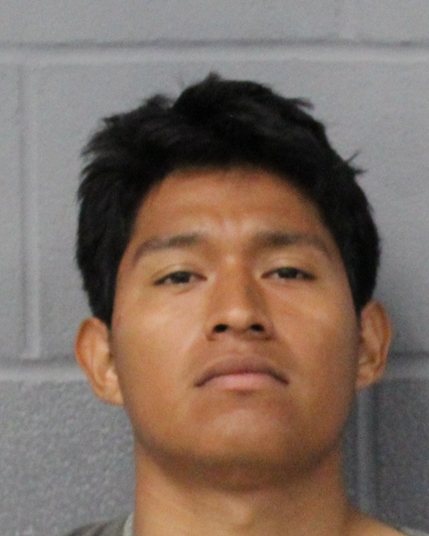 WILBER BLAS CASTILLO arrested by APD