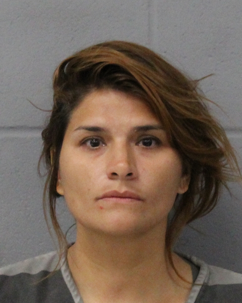 WINDY HOGUE arrested by APD
