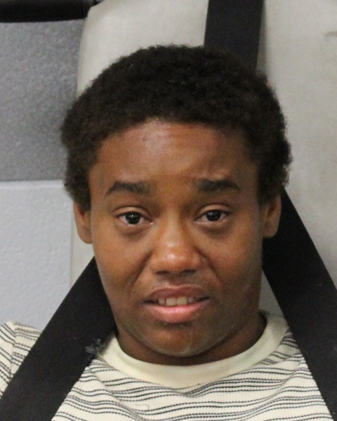 CISTA ARCENEAUX arrested by APD
