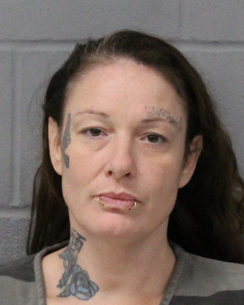 AMY MORGAN arrest record AMY MORGAN mugshot