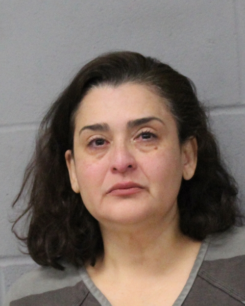 ERMA CASTORENA arrest record ERMA CASTORENA mugshot