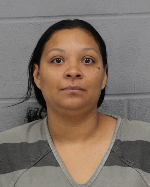 GUADALUPE DEZ arrest record GUADALUPE DEZ mugshot