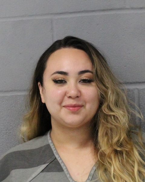 NICOLE RIOS MEZA arrest record NICOLE RIOS MEZA mugshot