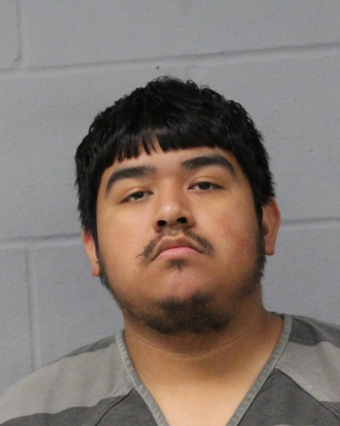 SILV CASTILLO HUR arrest record SILV CASTILLO HUR mugshot