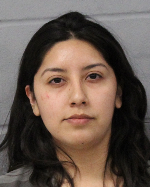 NANCY HERNANDEZ arrest record NANCY HERNANDEZ mugshot