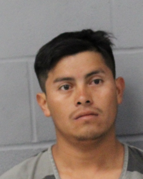 MARTIN CAAL PACHAM arrested by APD