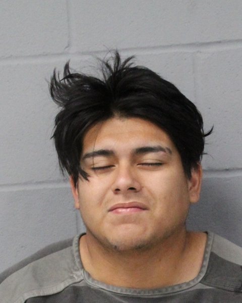 LUIZINHO FELIPE arrested by APD