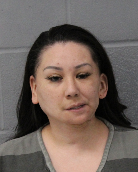 YVETTE VILLAREAL arrested by APD