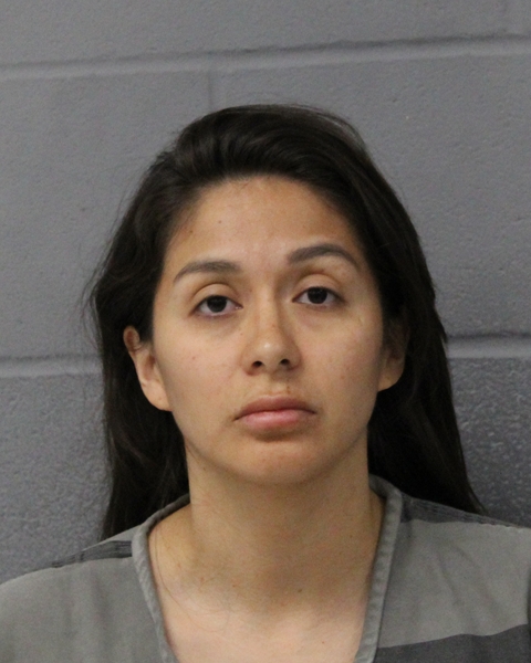 VANESSA CANIZALES arrested by APD