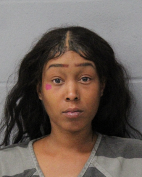 MEAGAN OVERTON arrested by APD
