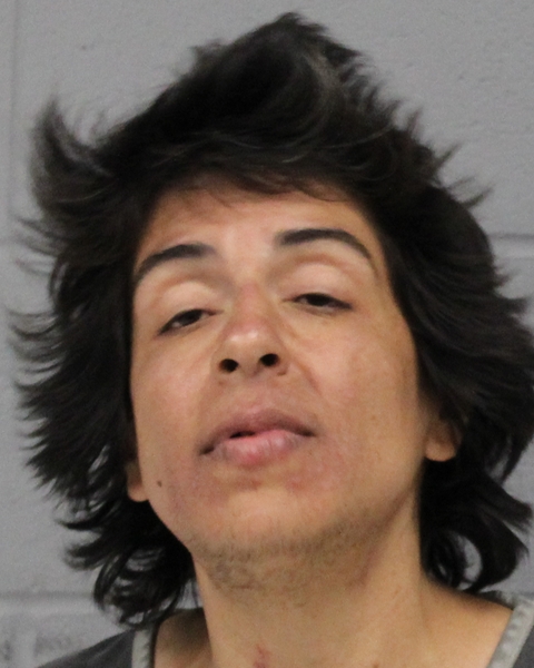 CRYSTAL DELEON arrested by APD