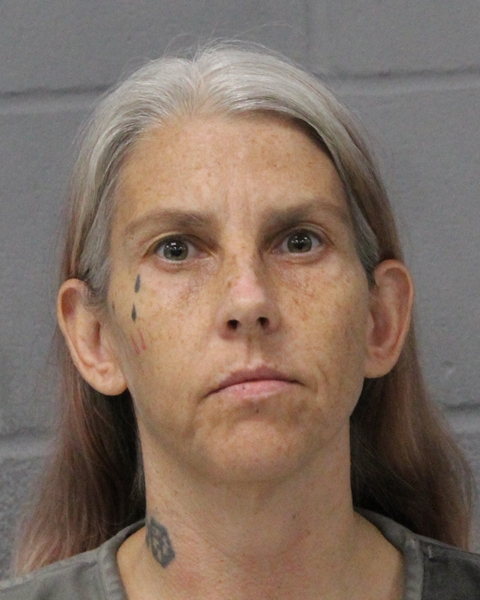 VANESSA RIDINGS arrested by APD