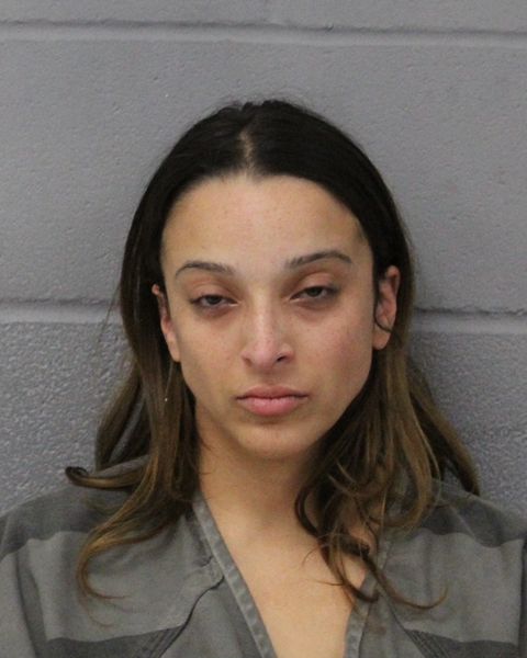 NATALIE HOGAN arrested by APD