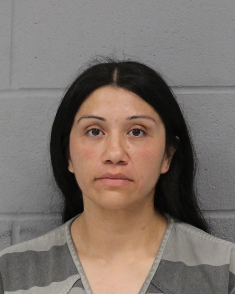 PATRICIA HERNANDEZ arrested by APD