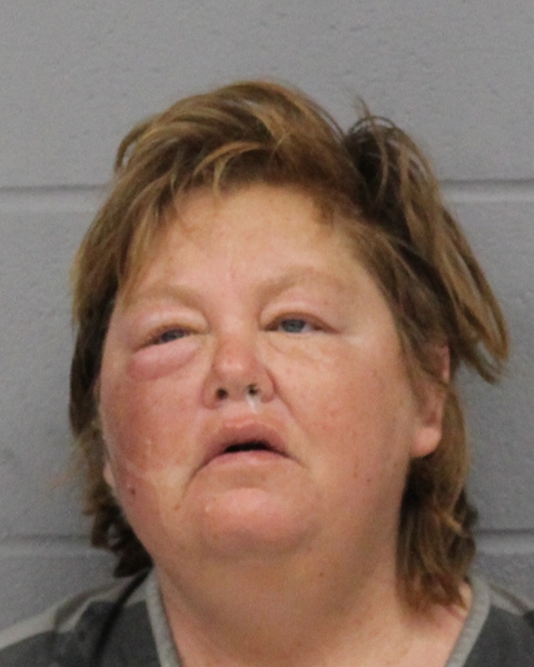 KARI FICARRO arrested by APD