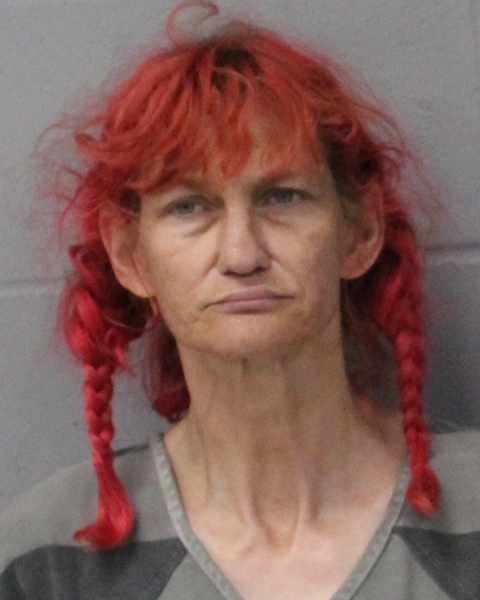 BRANDY SYKES arrested by APD