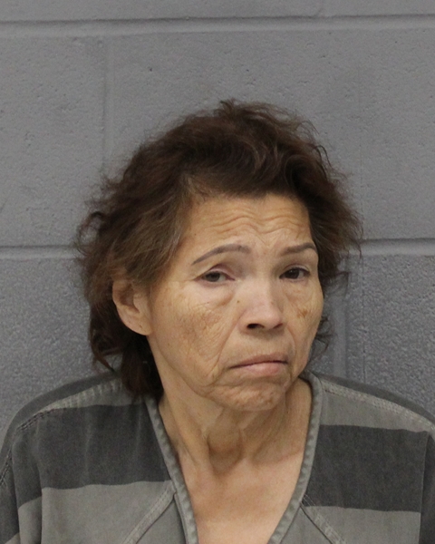 BEATRICE CASTILLO arrested by APD