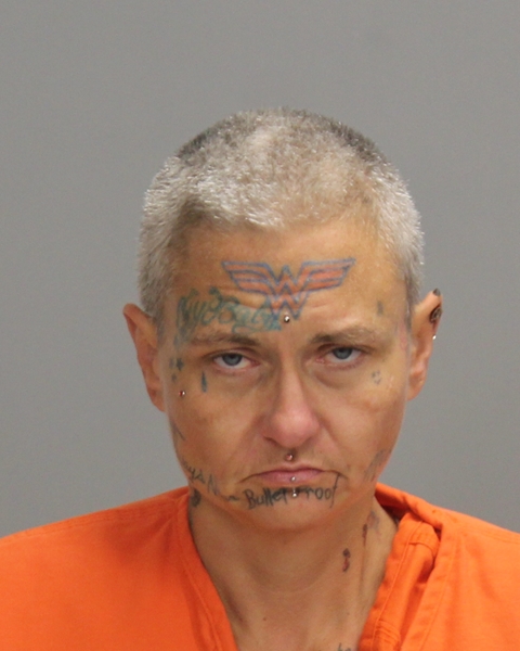 ARMSTRONG, BRANDE DIANE arrest record in Brazos County, Texas ARMSTRONG, BRANDE DIANE arrested in Brazos County, Texas mugshot