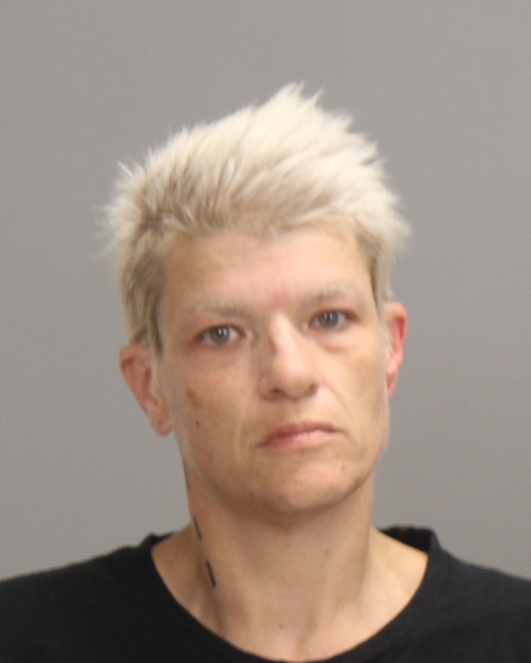 Spry, Jennifer Allene arrest record in Brazos County, Texas Spry, Jennifer Allene arrested in Brazos County, Texas mugshot